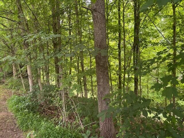 23875 Mathias Road Property Photo 6