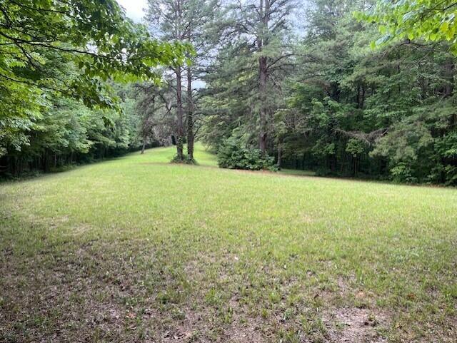23875 Mathias Road Property Photo 13