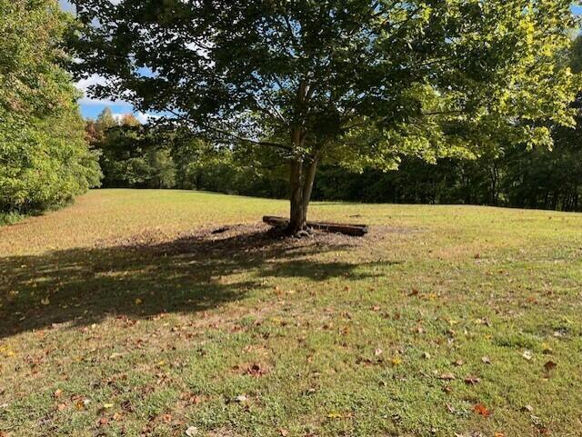 23875 Mathias Road Property Photo 20
