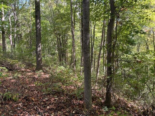 23875 Mathias Road Property Photo 32