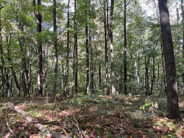 23875 Mathias Road Property Photo 34