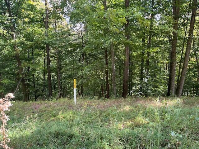 23875 Mathias Road Property Photo 37