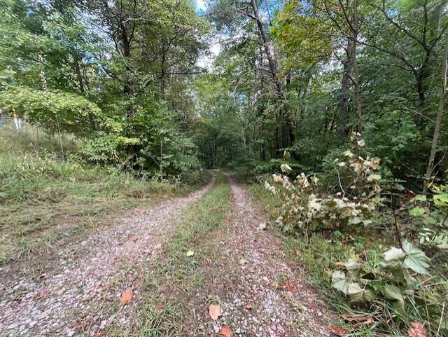 23875 Mathias Road Property Photo 42
