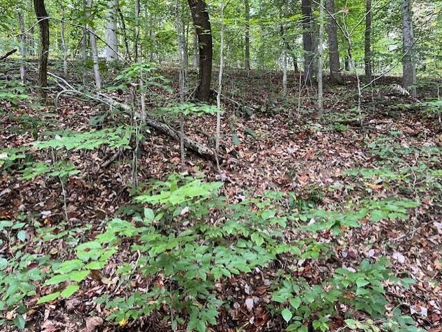23875 Mathias Road Property Photo 47