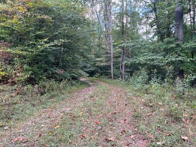 23875 Mathias Road Property Photo 50