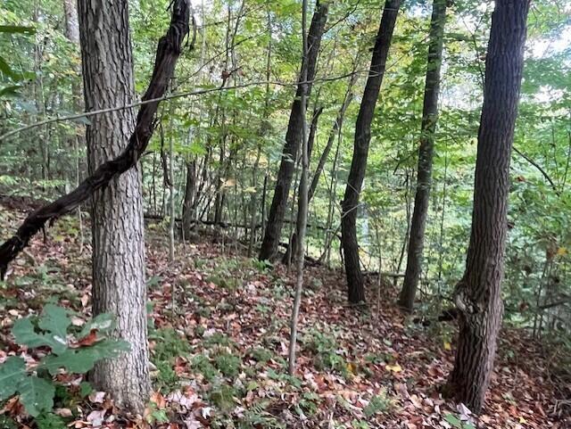 23875 Mathias Road Property Photo 52