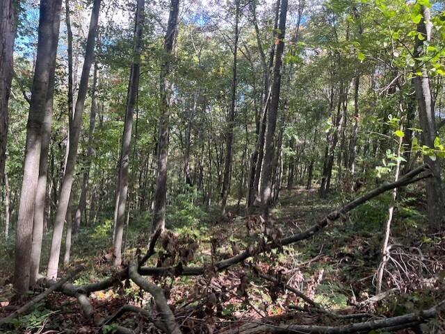 23875 Mathias Road Property Photo 56