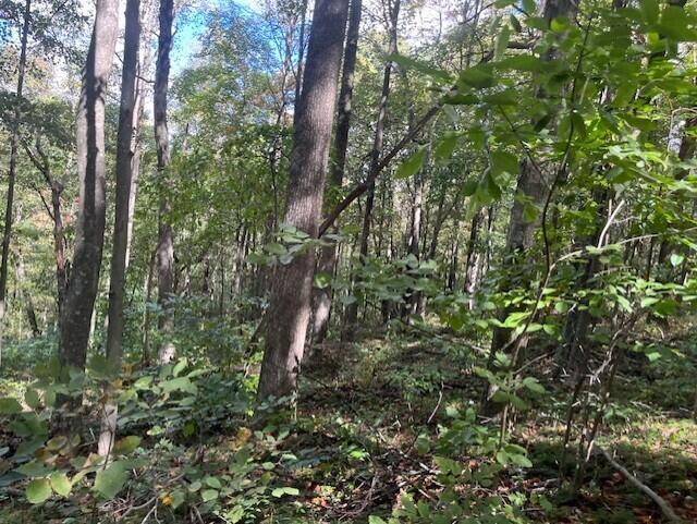 23875 Mathias Road Property Photo 58