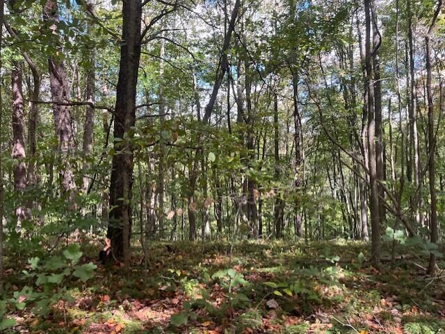 23875 Mathias Road Property Photo 61