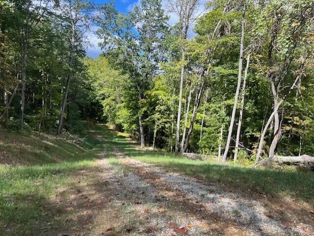 23875 Mathias Road Property Photo 62