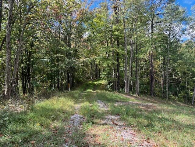 23875 Mathias Road Property Photo 63