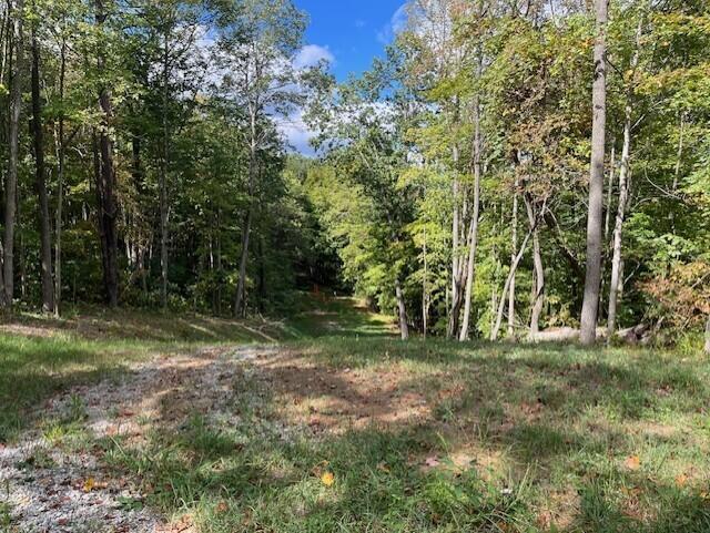 23875 Mathias Road Property Photo 64