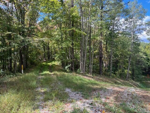 23875 Mathias Road Property Photo 65