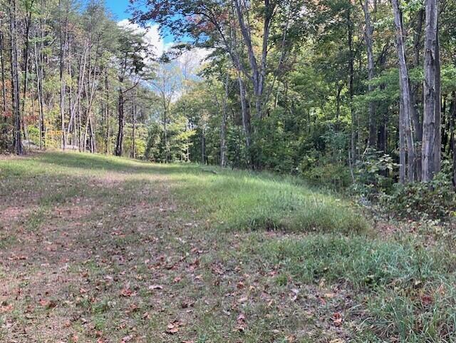 23875 Mathias Road Property Photo 67