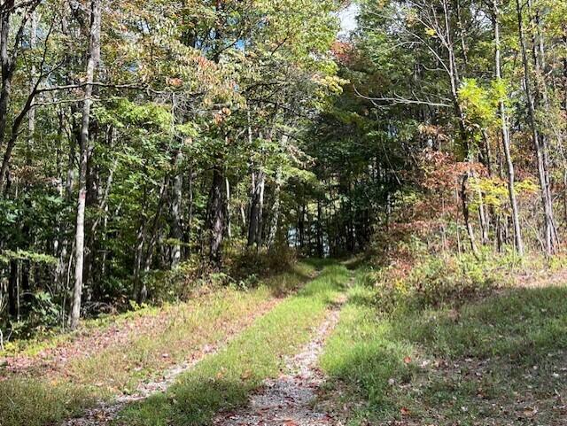 23875 Mathias Road Property Photo 70