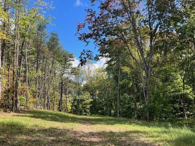 23875 Mathias Road Property Photo 71