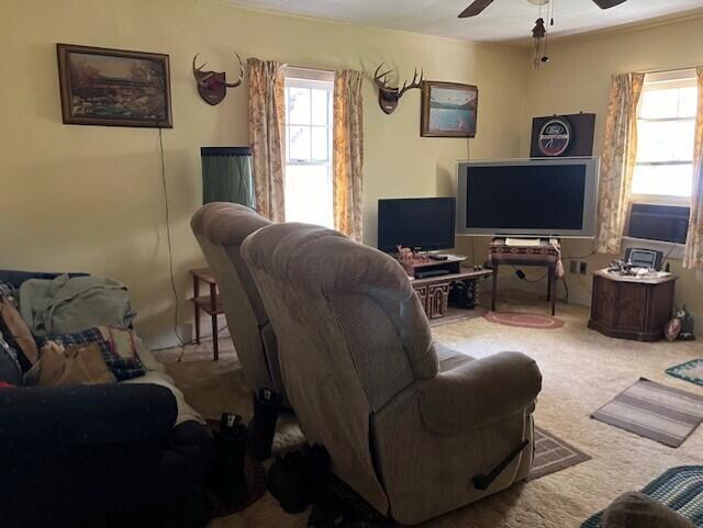 23875 Mathias Road Property Photo 76