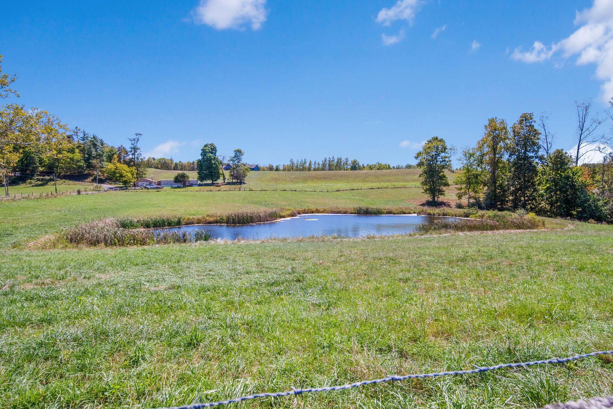 38482 Scout Road Property Photo 46
