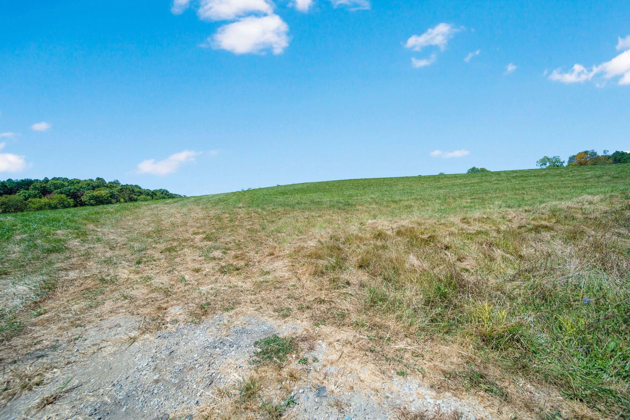 38482 Scout Road Property Photo 49