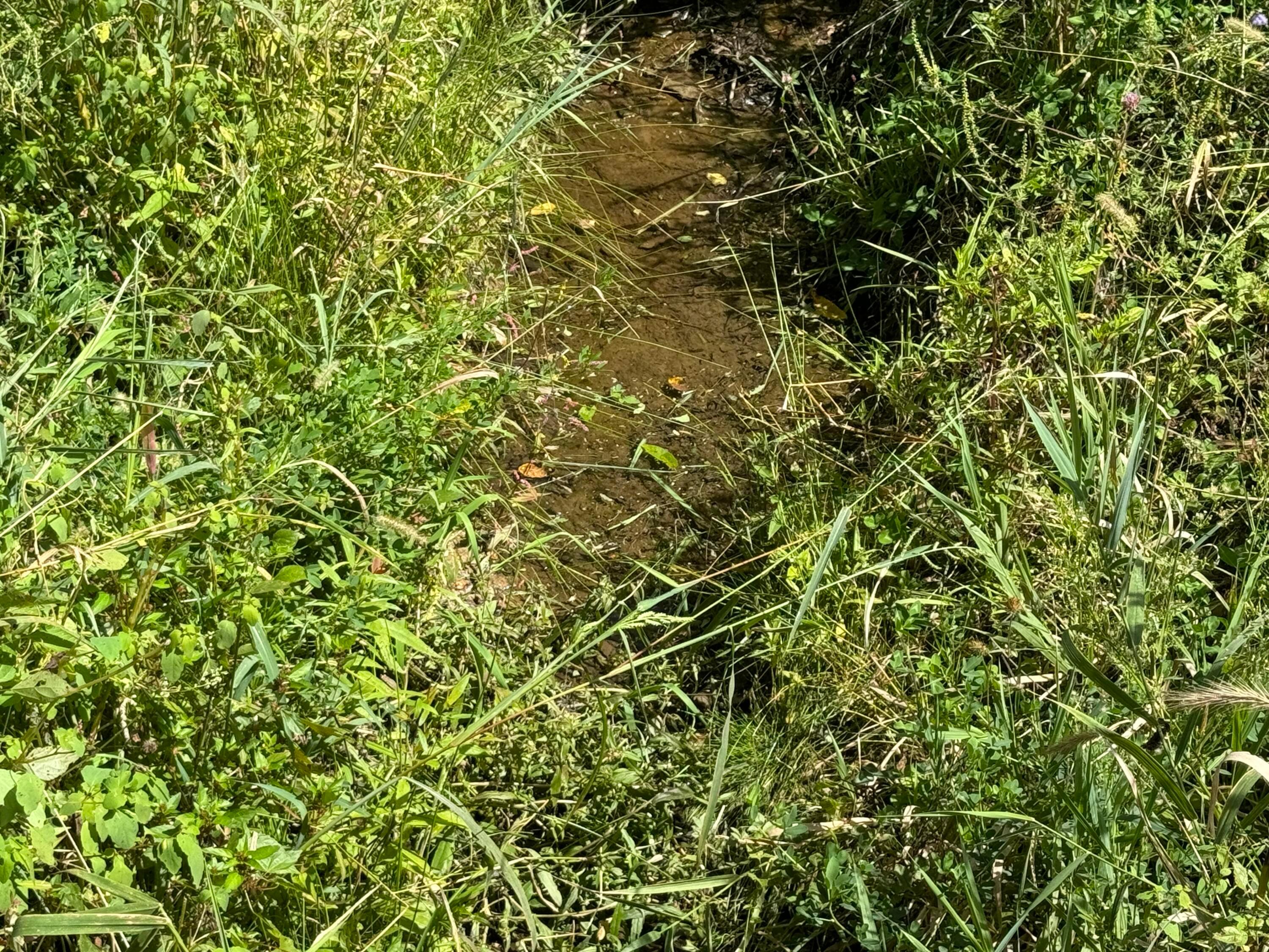 0 Mcgrath Road, (mcgrath Tract 5) Property Photo 5