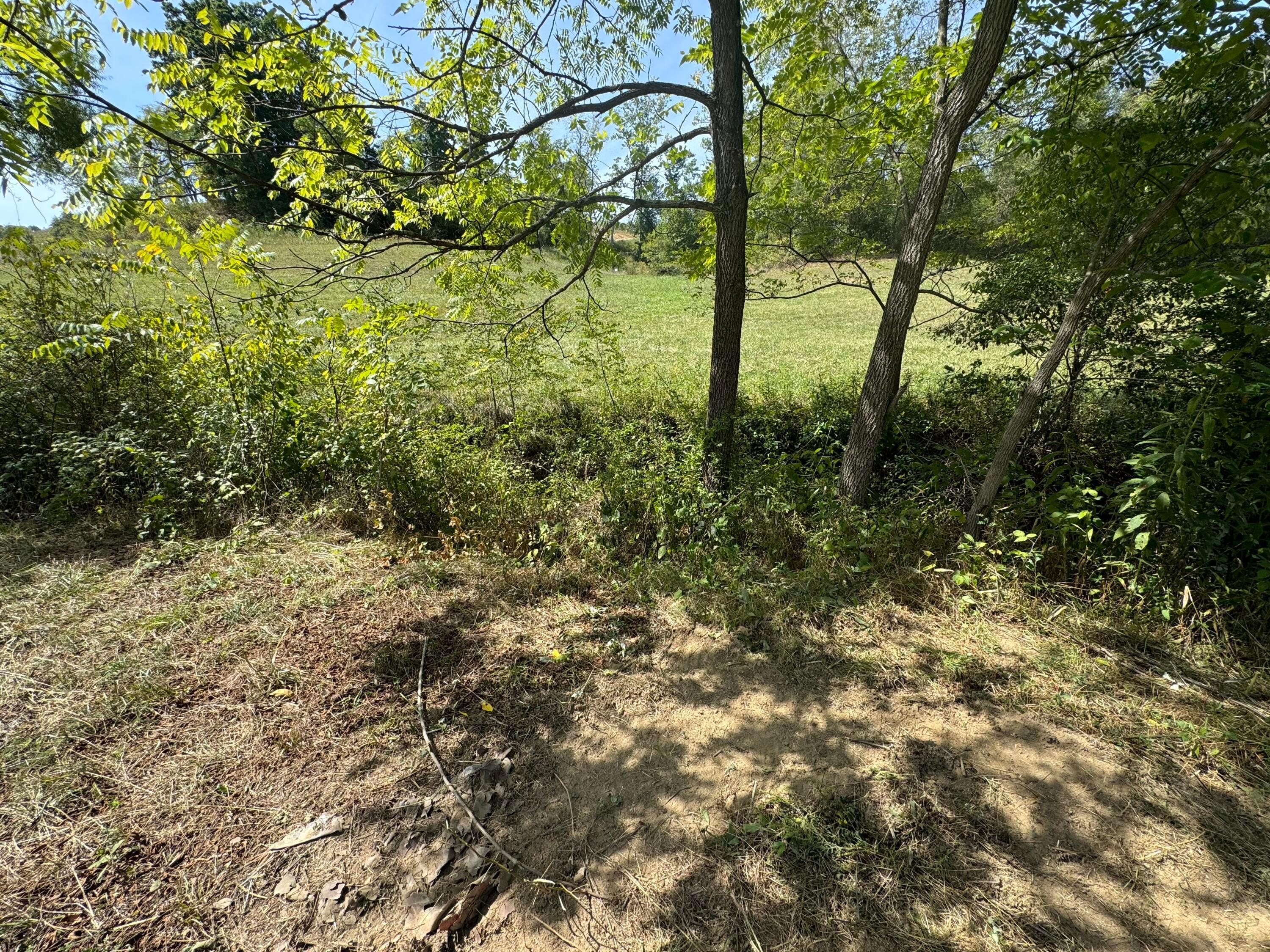 0 Mcgrath Road, (mcgrath Tract 5) Property Photo 18