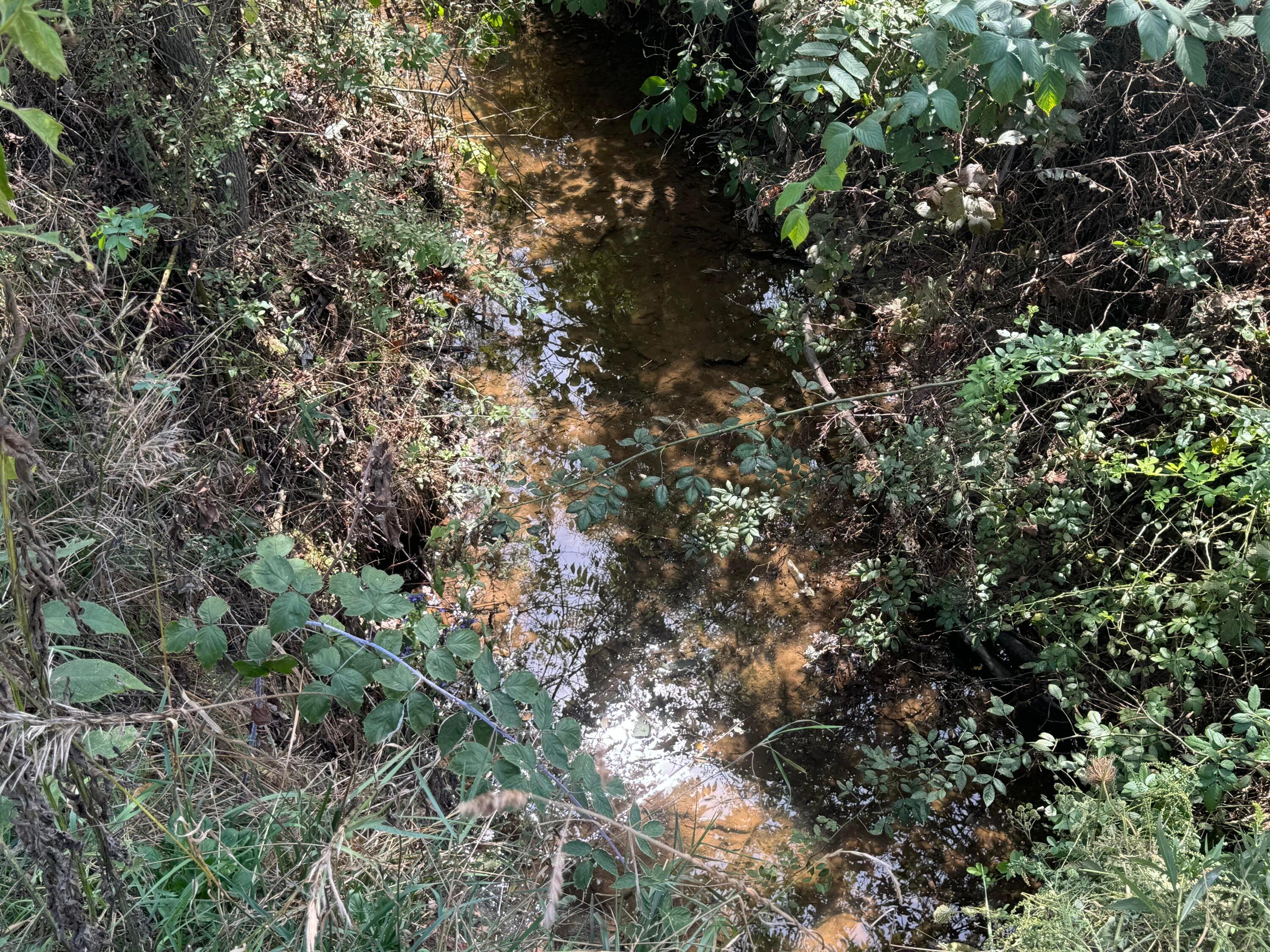 0 Mcgrath Road, (mcgrath Tract 5) Property Photo 24