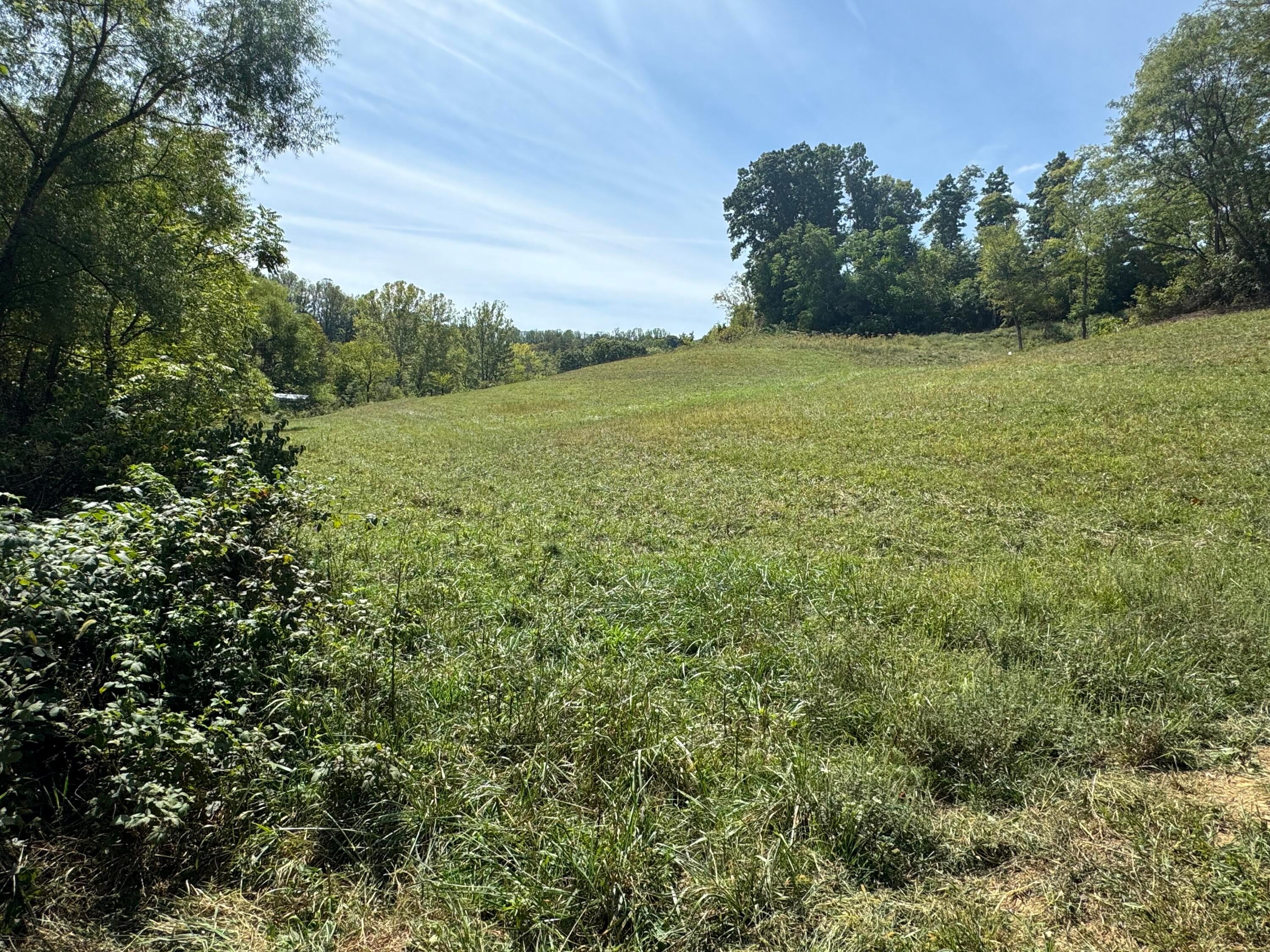 0 Mcgrath Road, (mcgrath Tract 5) Property Photo 28