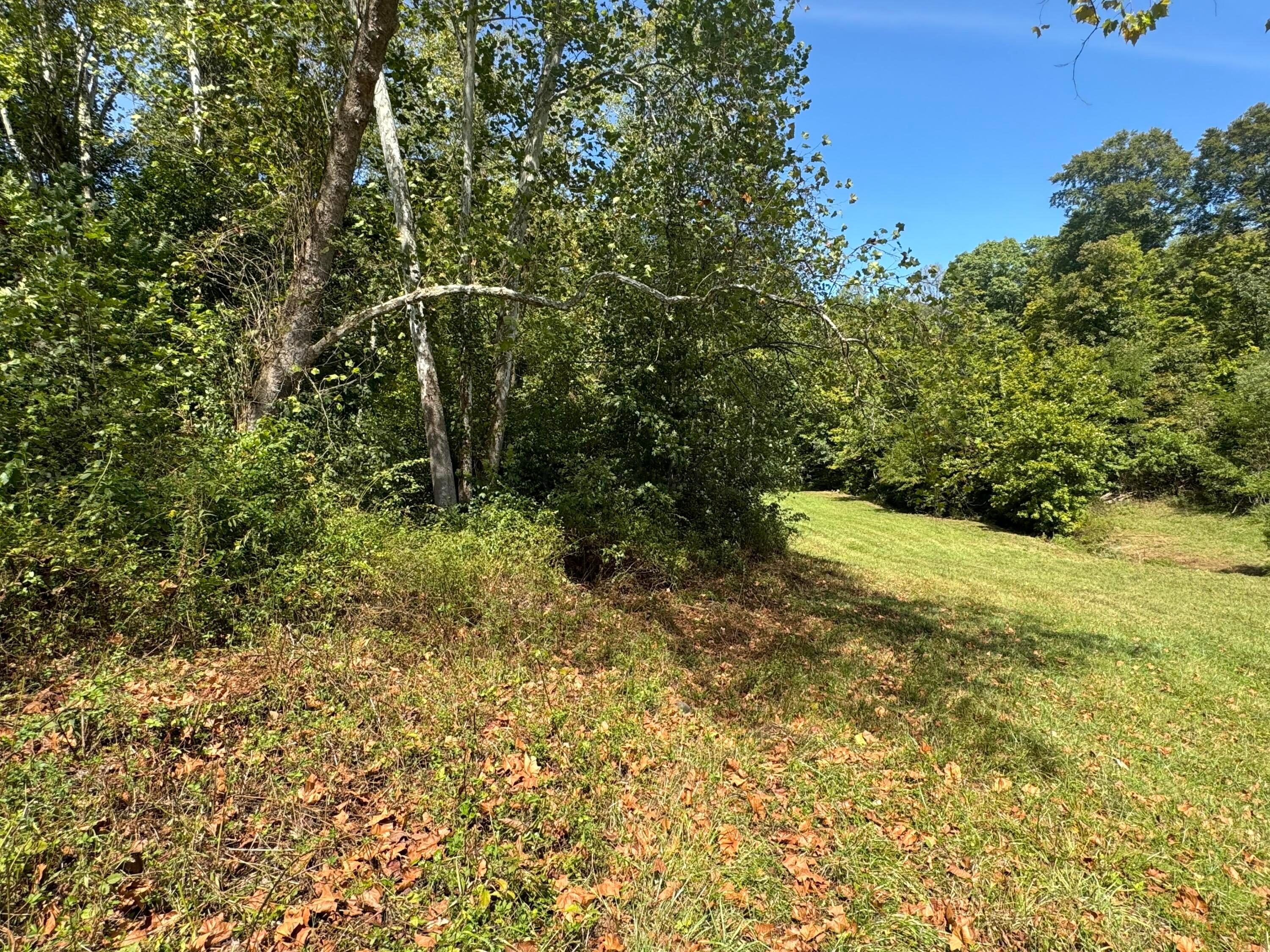 0 Mcgrath Road, (mcgrath Tract 5) Property Photo 39