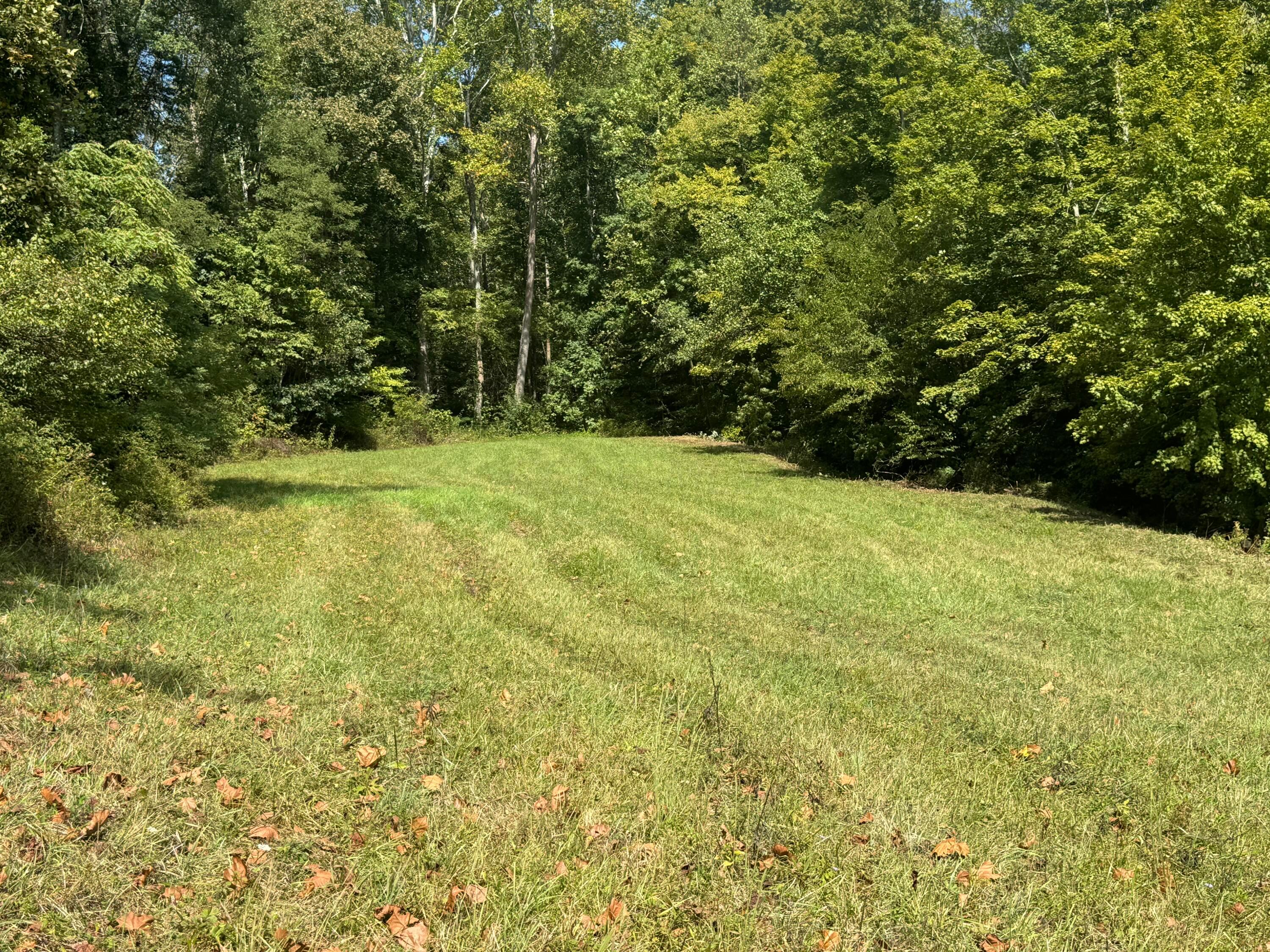 0 Mcgrath Road, (mcgrath Tract 5) Property Photo 43