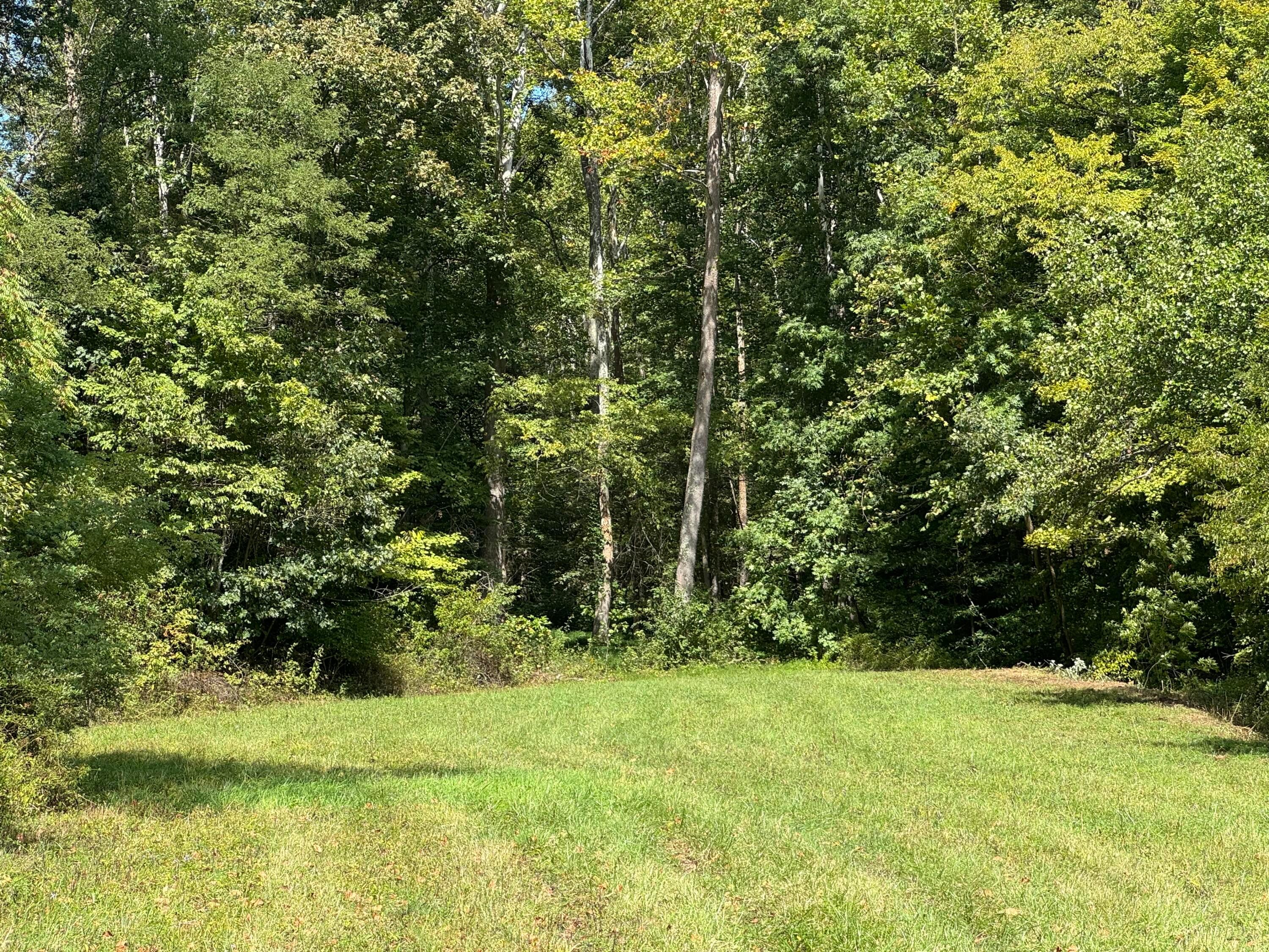 0 Mcgrath Road, (mcgrath Tract 5) Property Photo 45