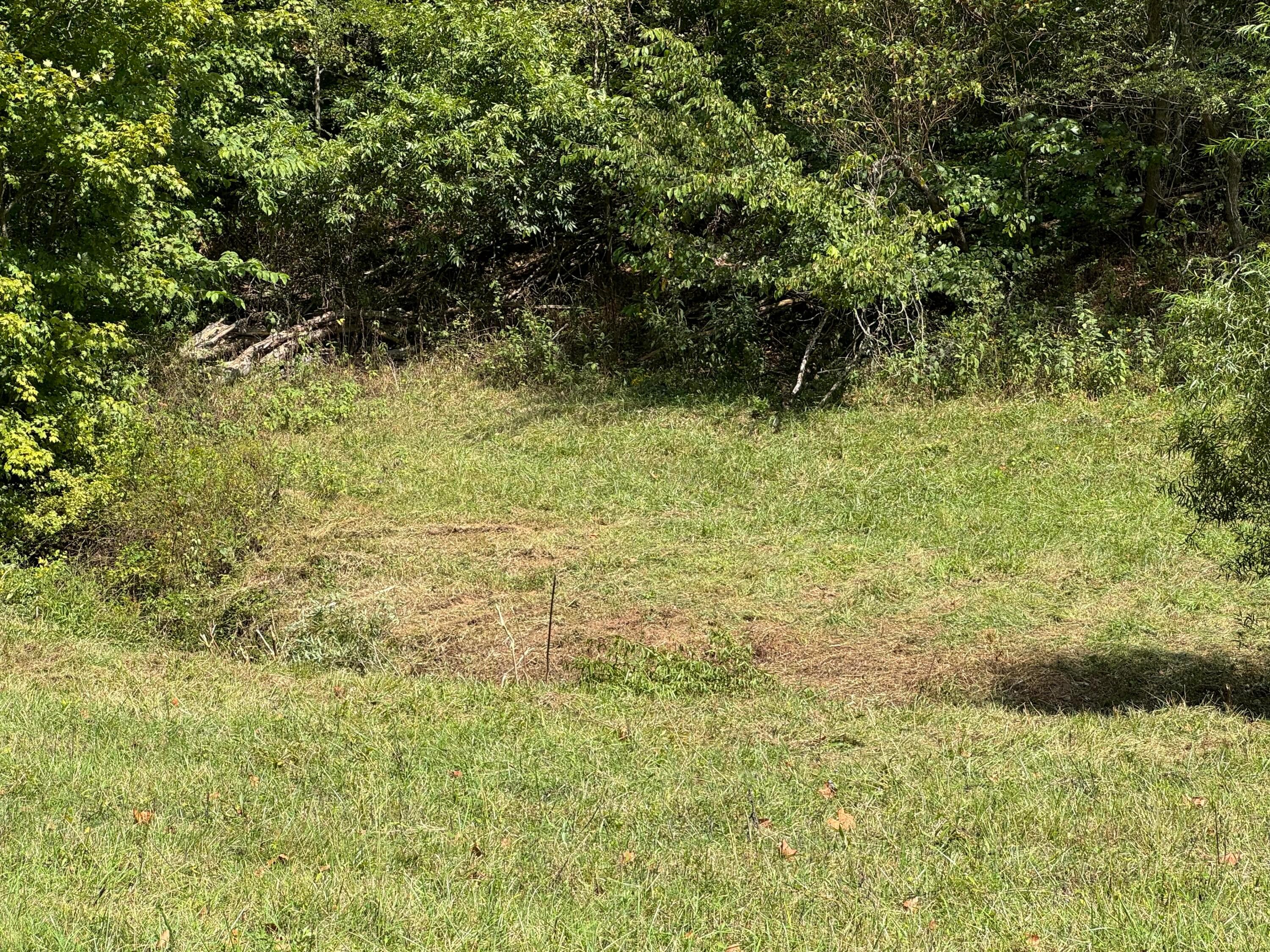 0 Mcgrath Road, (mcgrath Tract 5) Property Photo 46