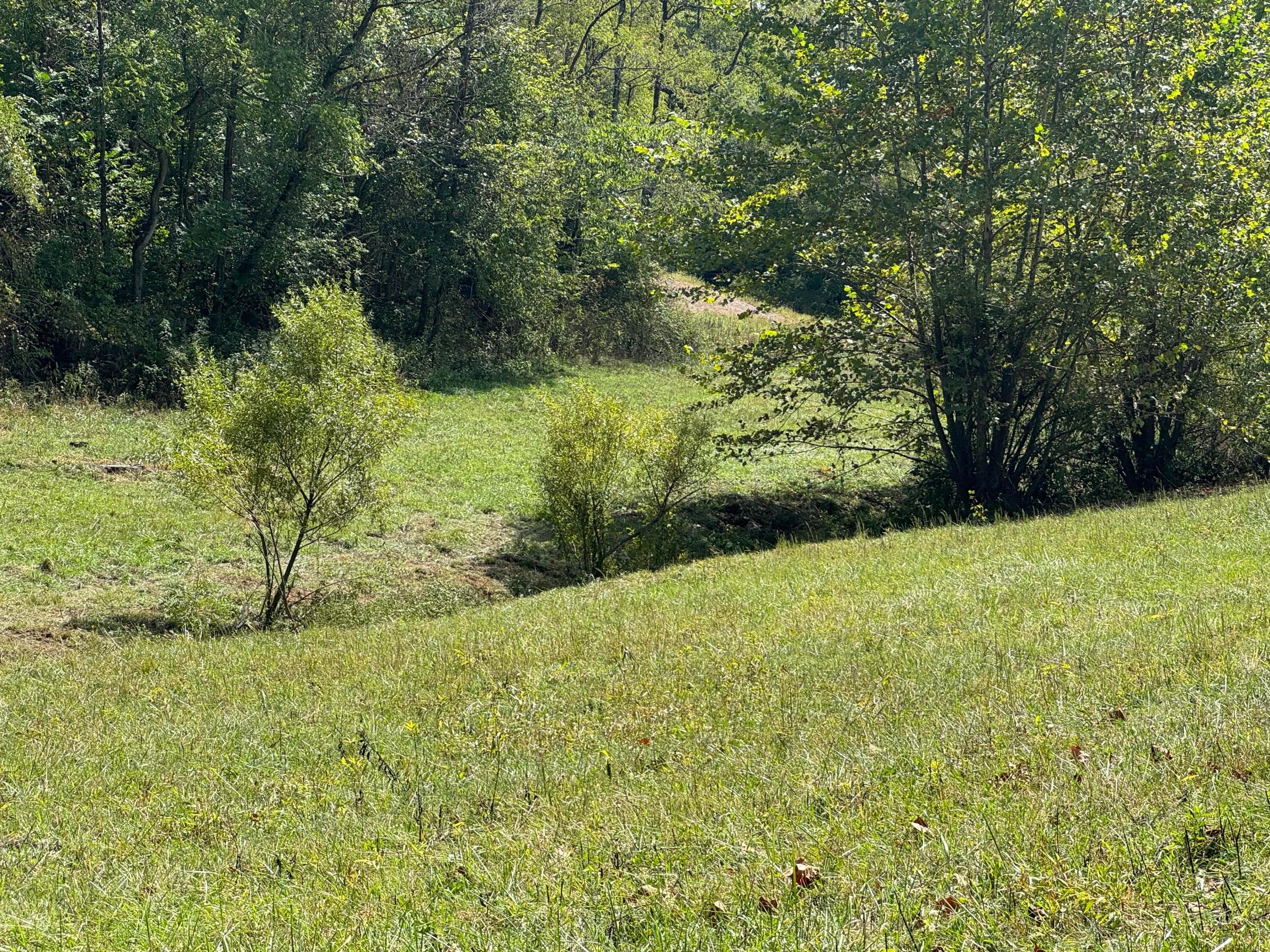 0 Mcgrath Road, (mcgrath Tract 5) Property Photo 47