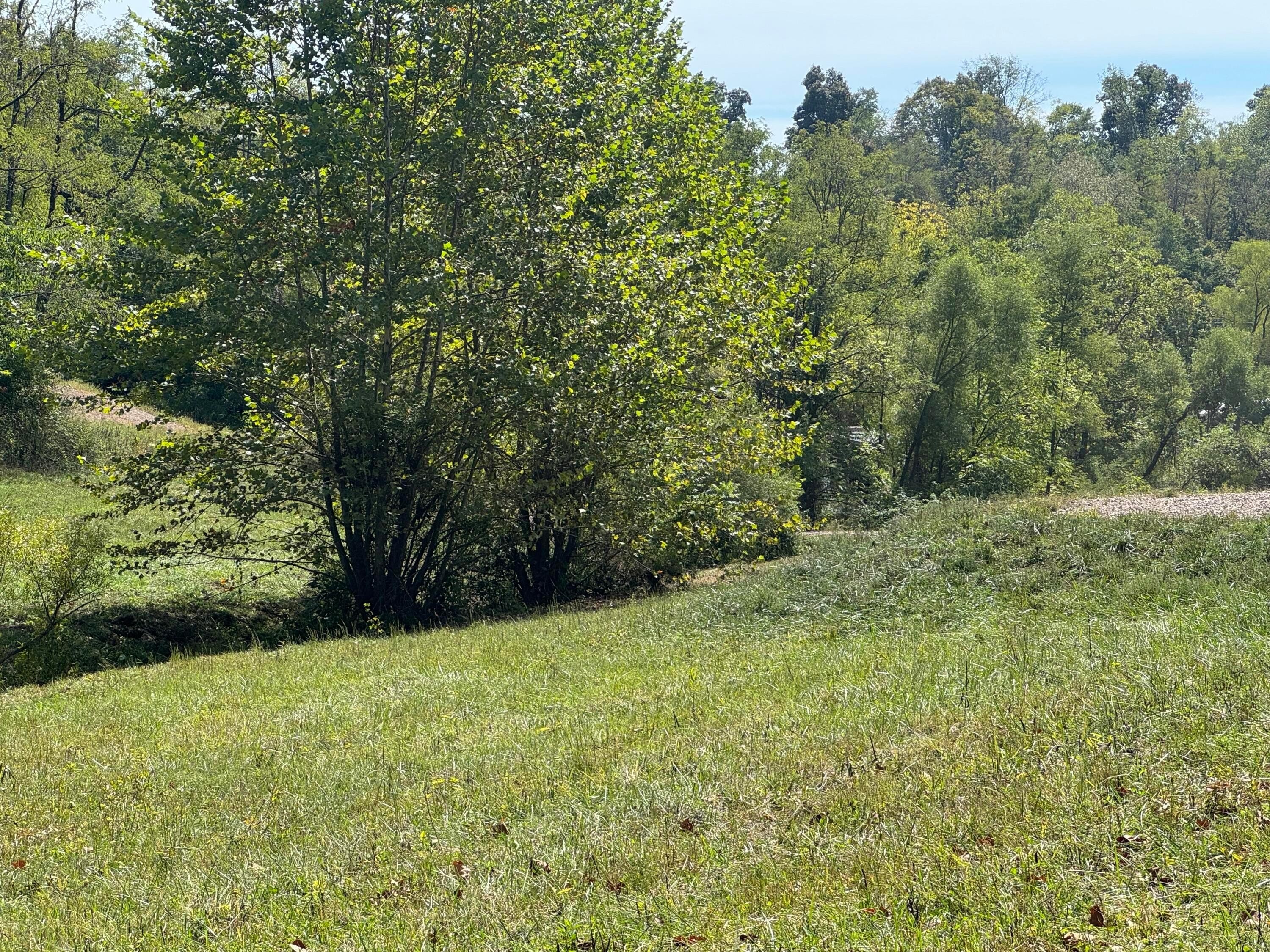 0 Mcgrath Road, (mcgrath Tract 5) Property Photo 49