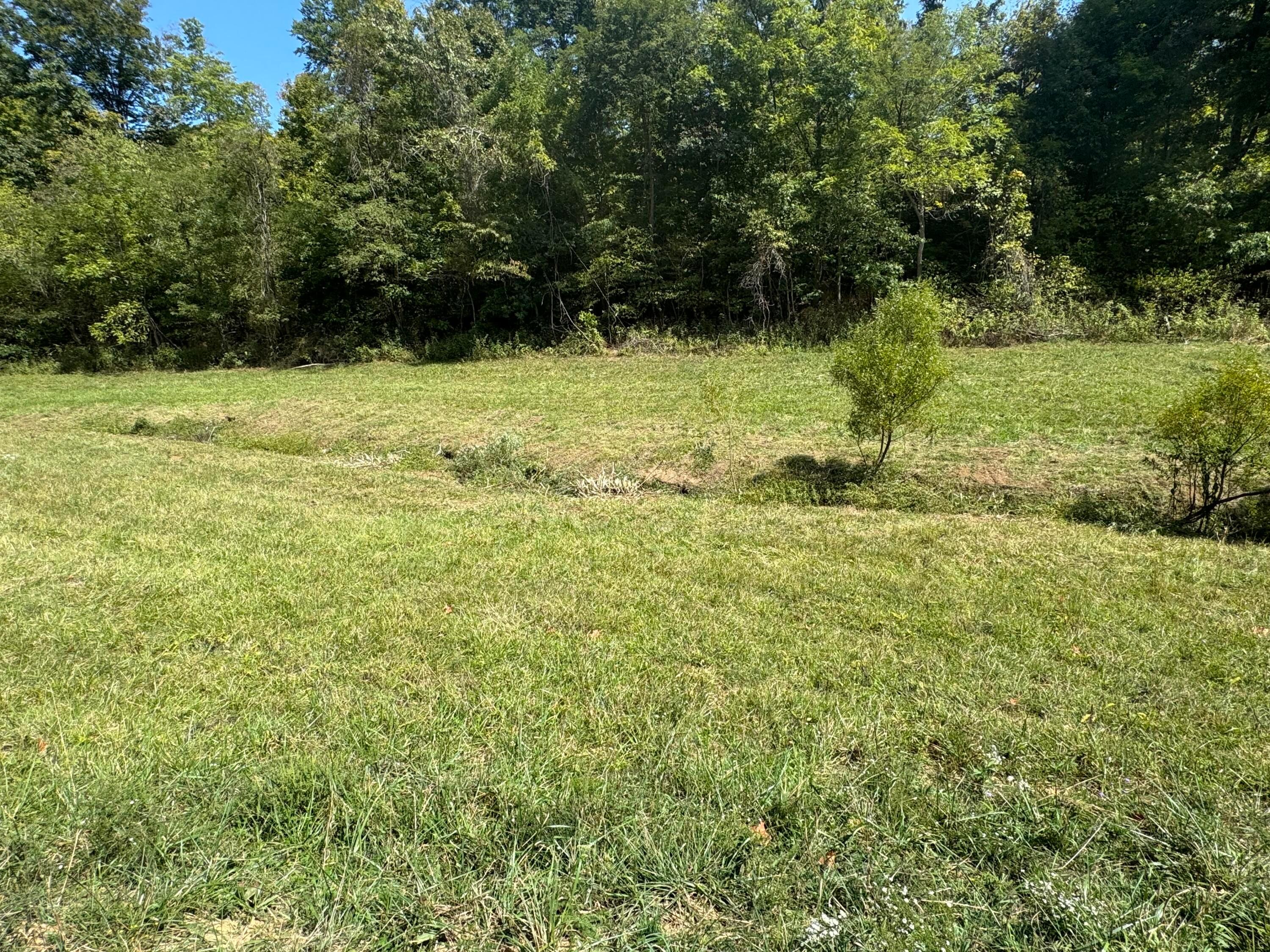 0 Mcgrath Road, (mcgrath Tract 5) Property Photo 51