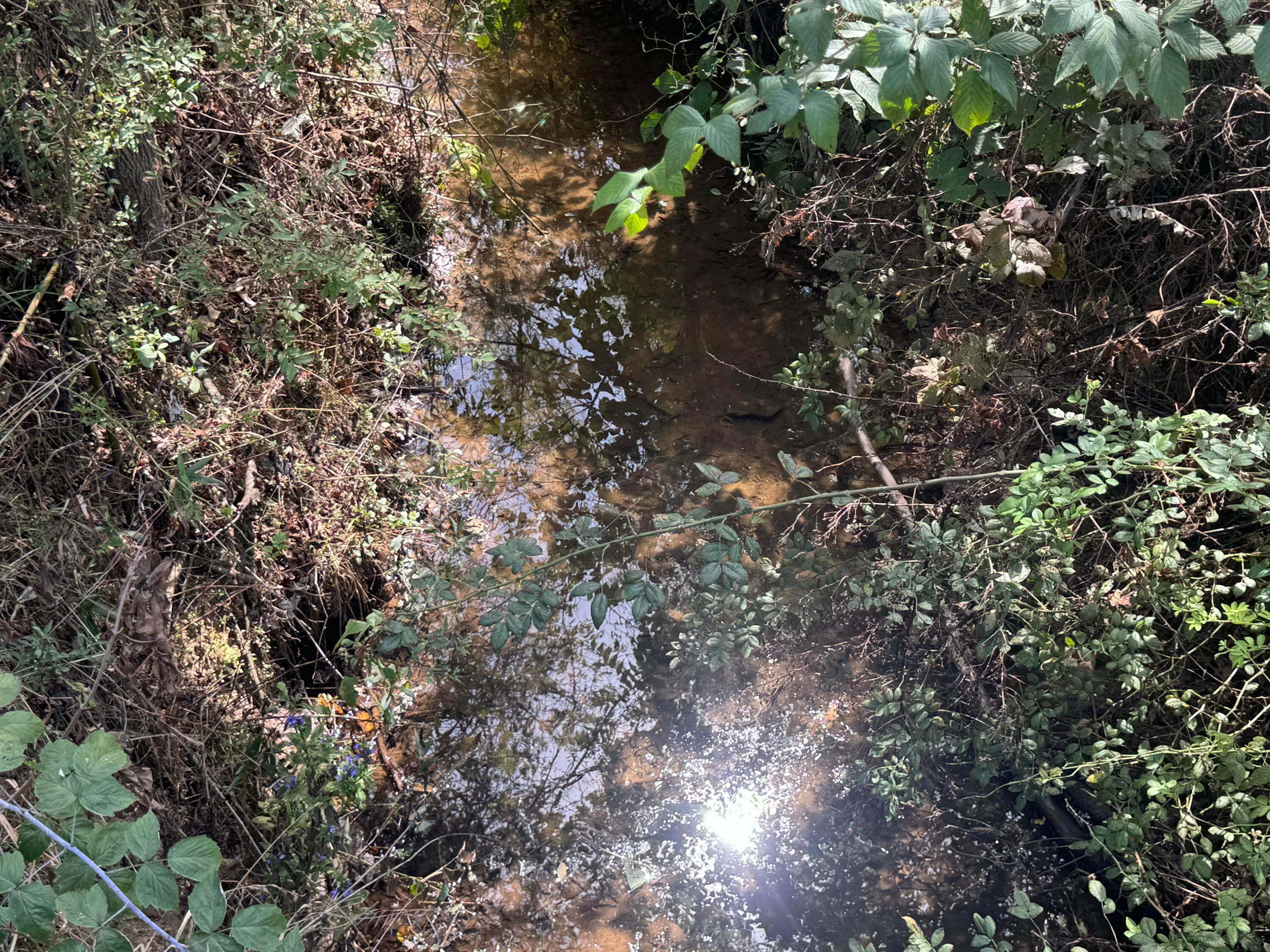 0 Mcgrath Road, (mcgrath Tract 5) Property Photo 61