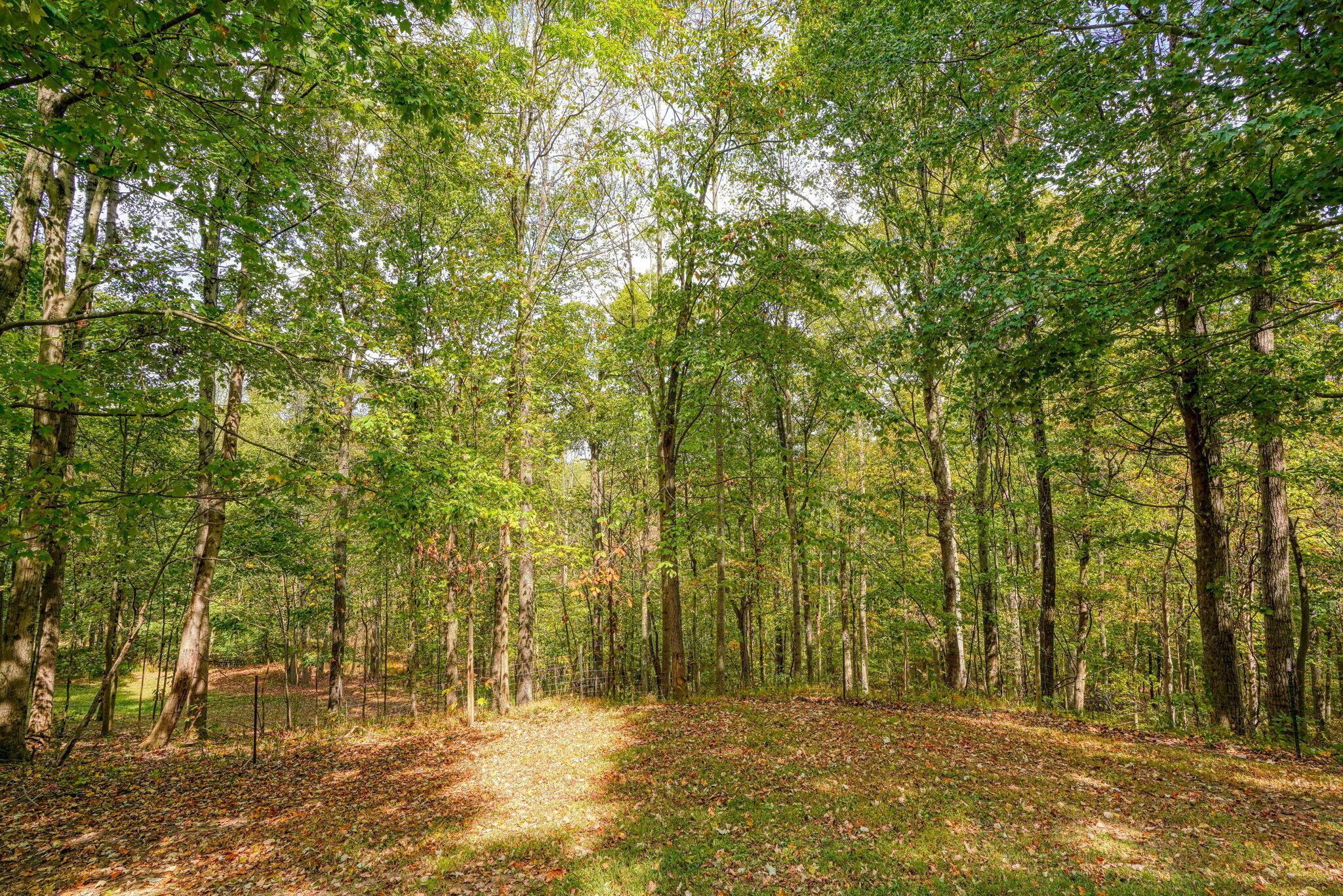 19248 State Route 328 Property Photo 83