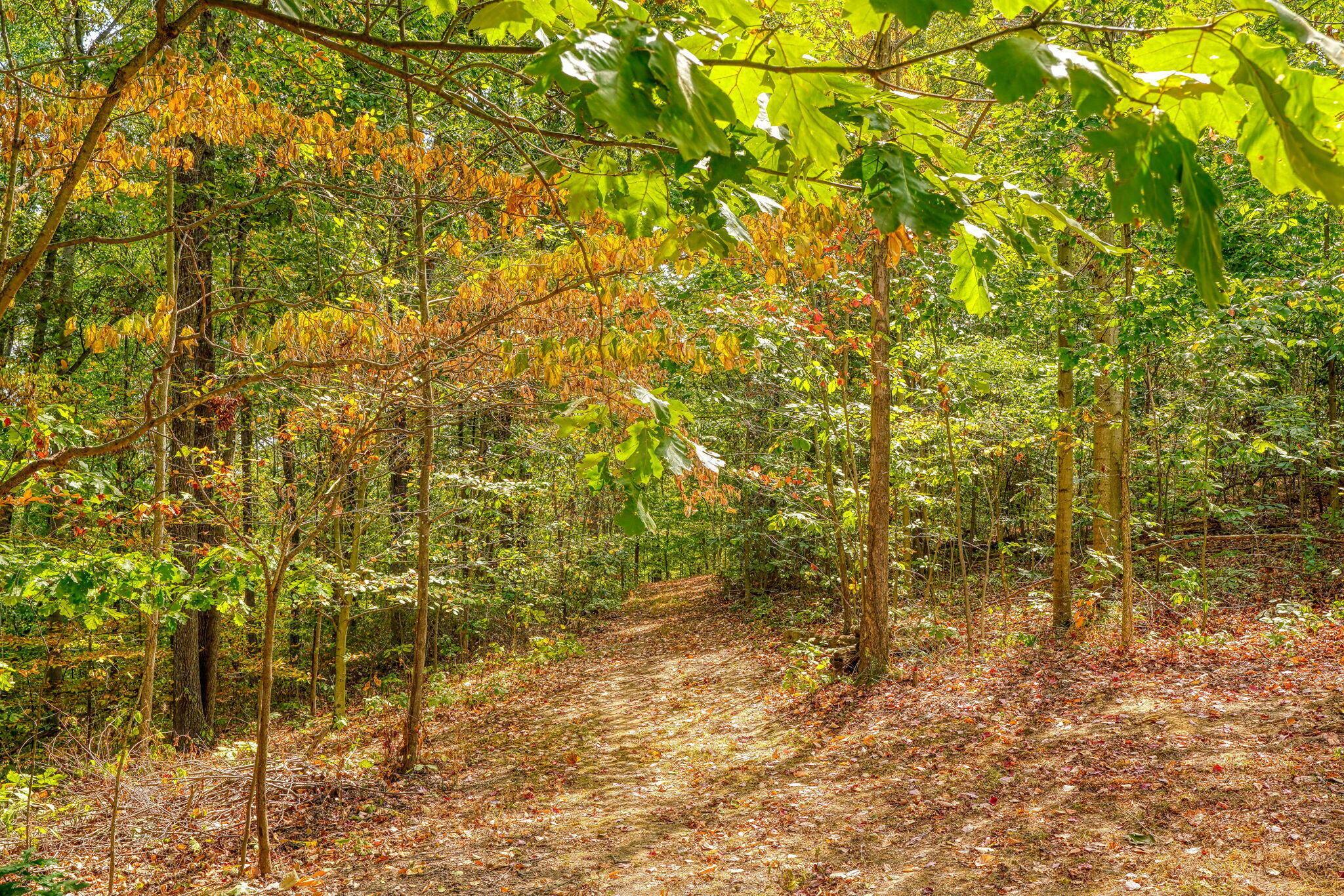 19248 State Route 328 Property Photo 94