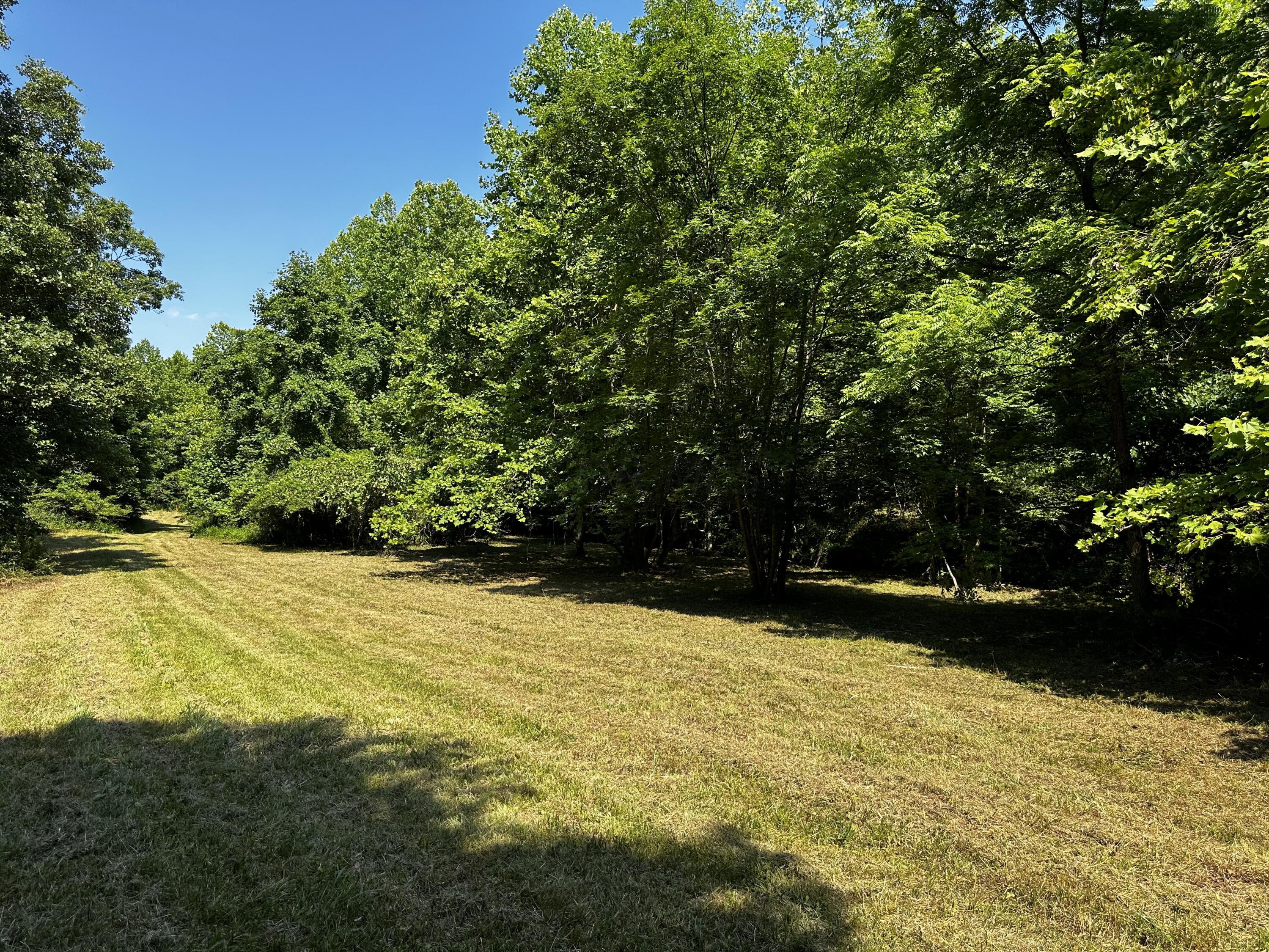 1079 Hull Road, (tract 11 Woods Wayne Forest) Property Photo