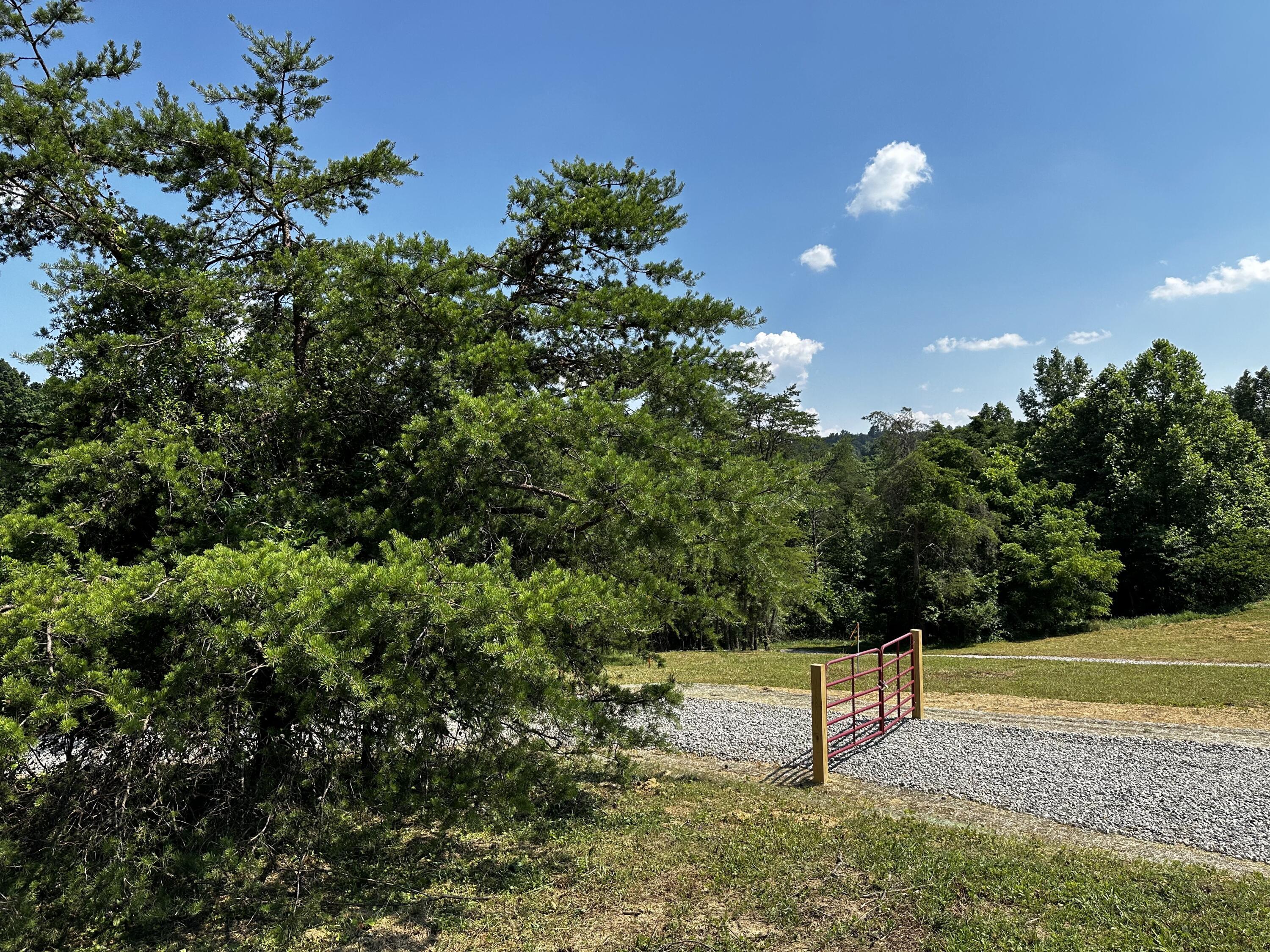 1079 Hull Road, (tract 11 Woods Wayne Forest) Property Photo 10