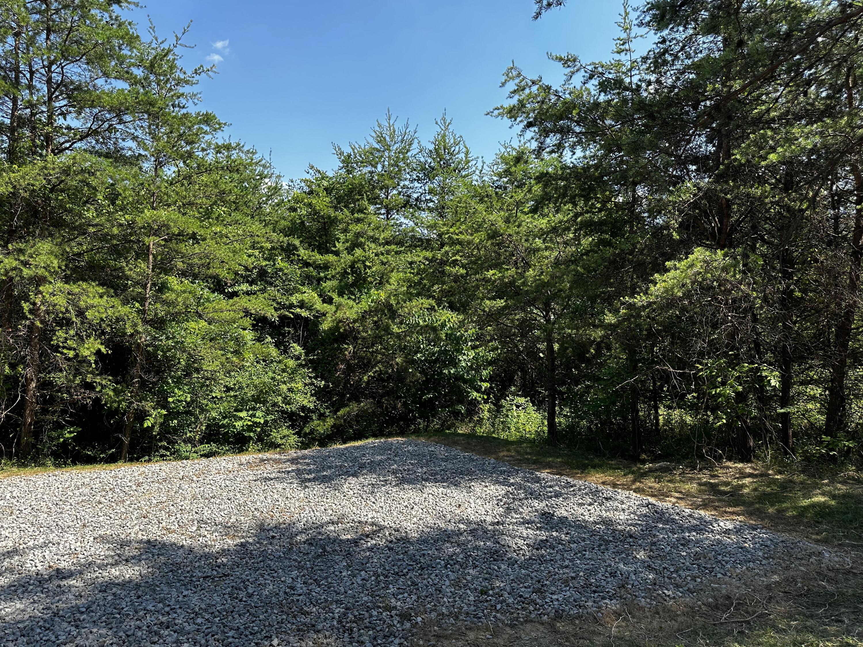 1079 Hull Road, (tract 11 Woods Wayne Forest) Property Photo 15