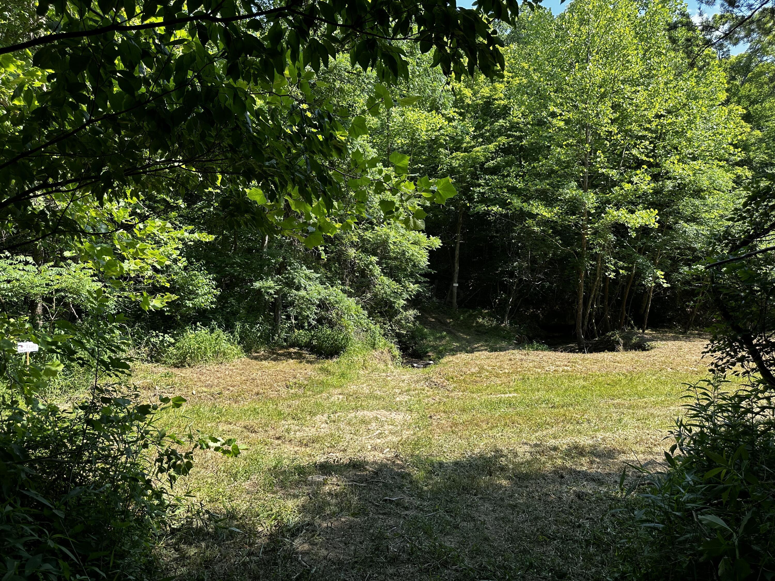 1079 Hull Road, (tract 11 Woods Wayne Forest) Property Photo 18