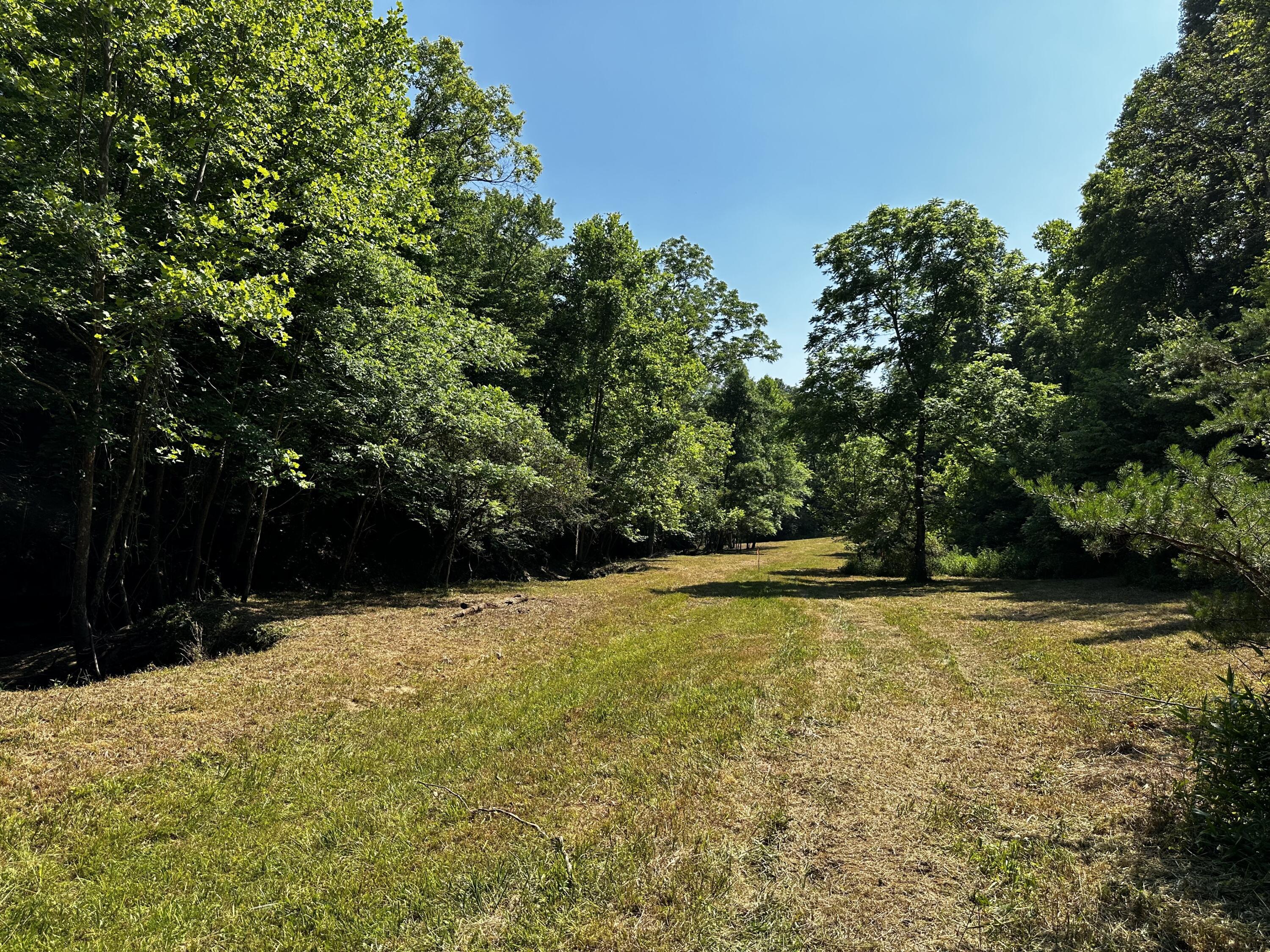 1079 Hull Road, (tract 11 Woods Wayne Forest) Property Photo 19