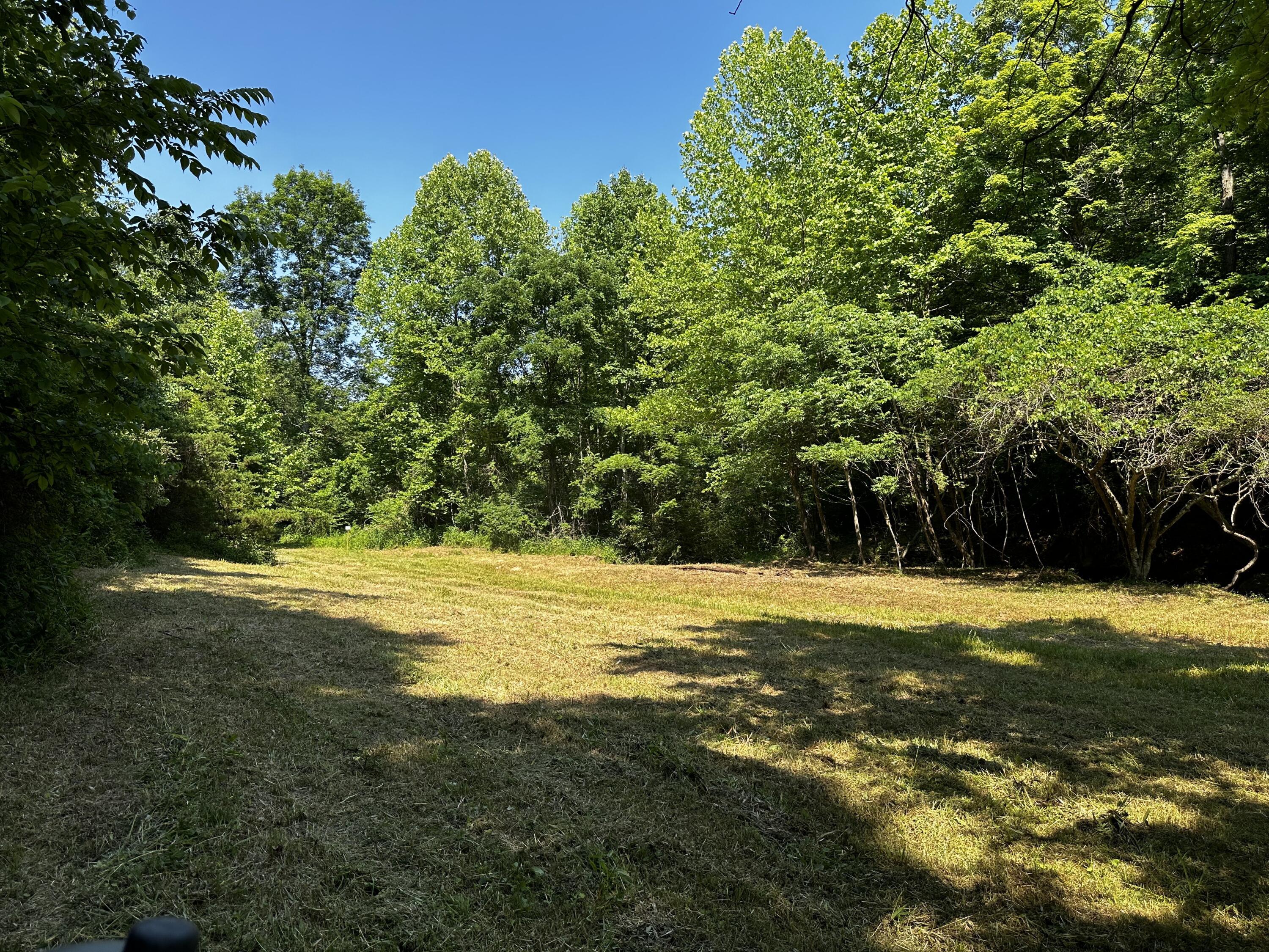 1079 Hull Road, (tract 11 Woods Wayne Forest) Property Photo 20