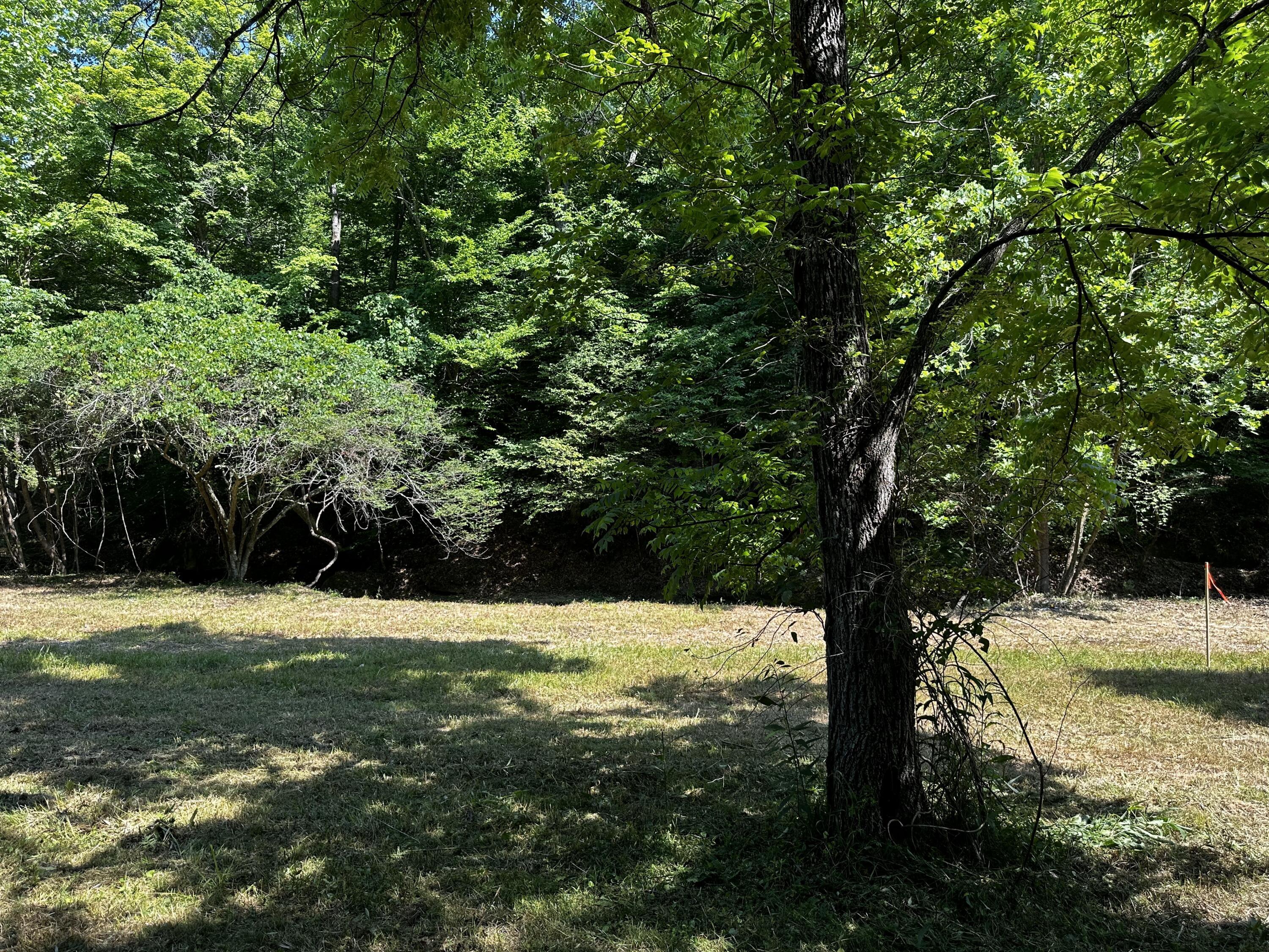 1079 Hull Road, (tract 11 Woods Wayne Forest) Property Photo 21