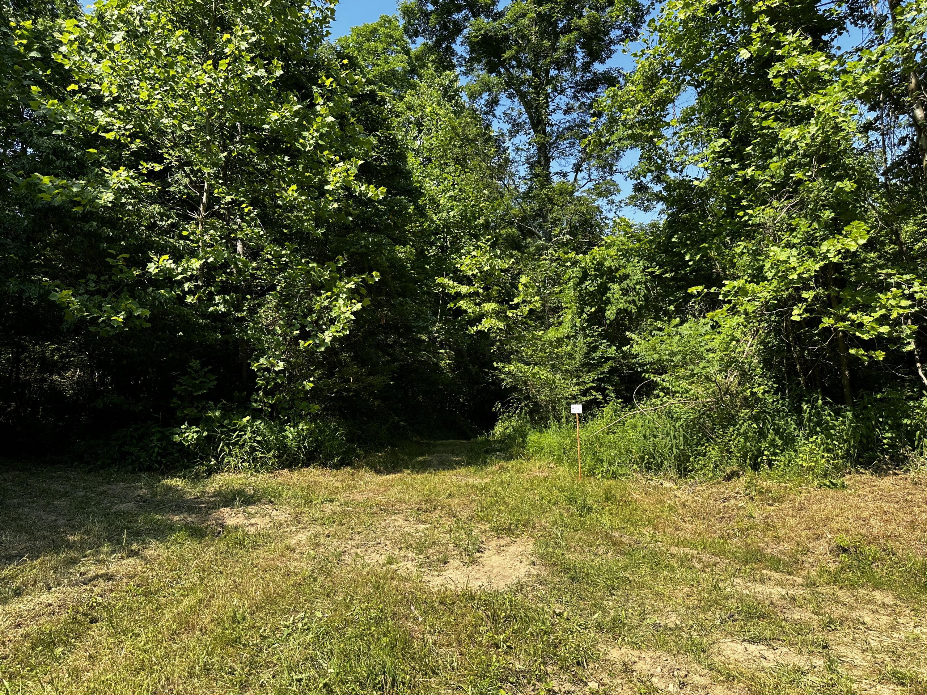 1079 Hull Road, (tract 11 Woods Wayne Forest) Property Photo 23