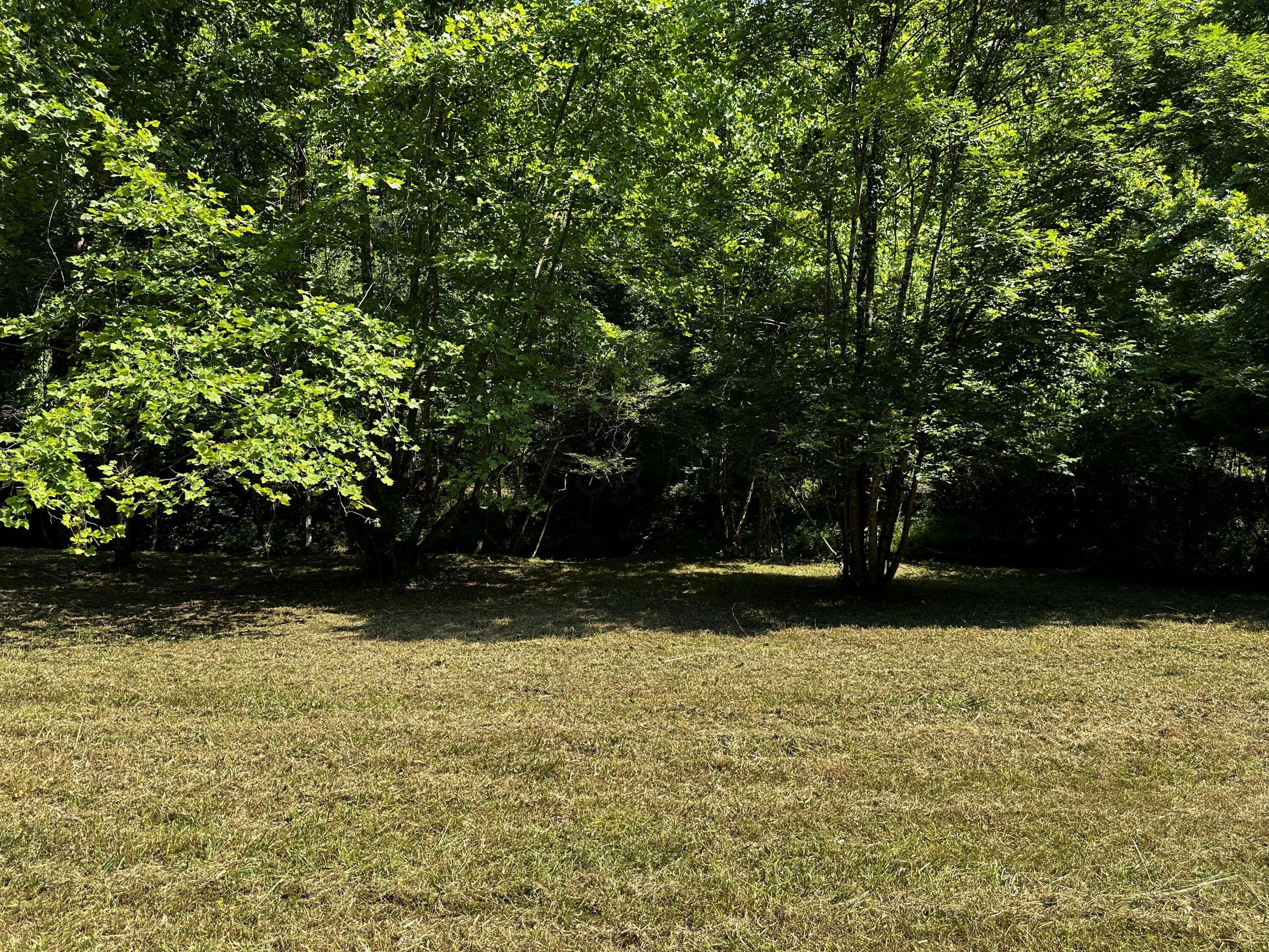 1079 Hull Road, (tract 11 Woods Wayne Forest) Property Photo 25