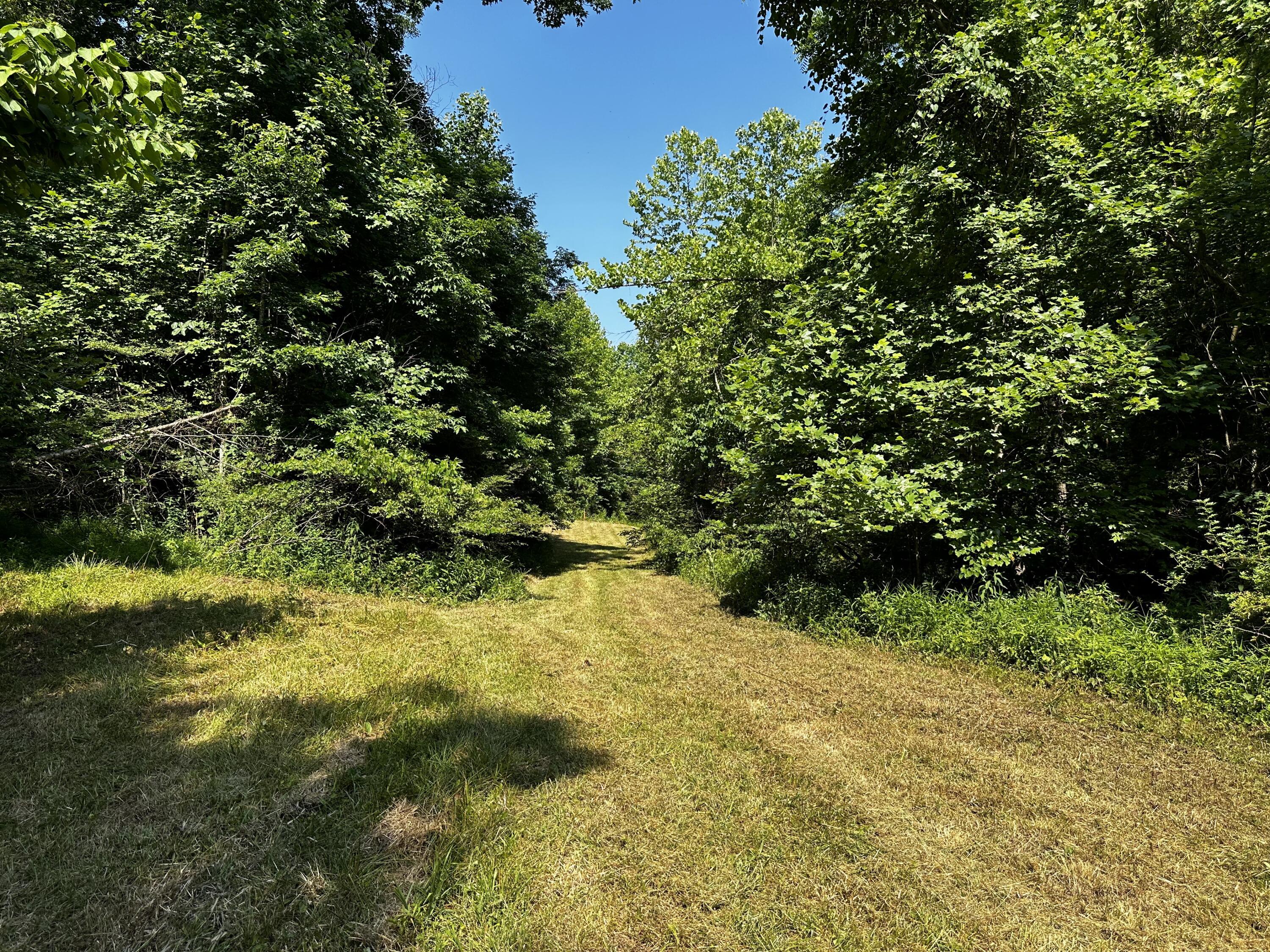 1079 Hull Road, (tract 11 Woods Wayne Forest) Property Photo 26