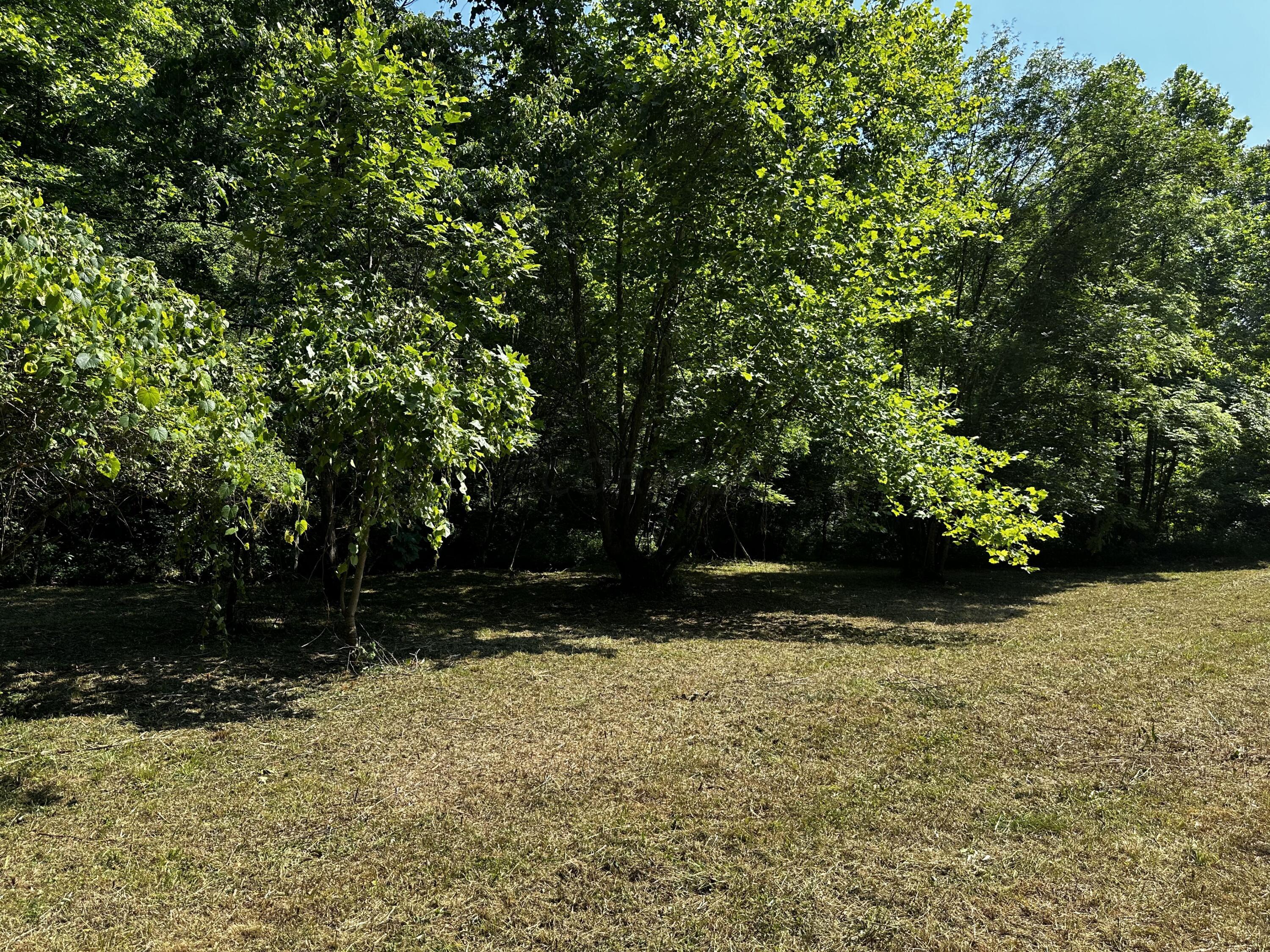 1079 Hull Road, (tract 11 Woods Wayne Forest) Property Photo 27