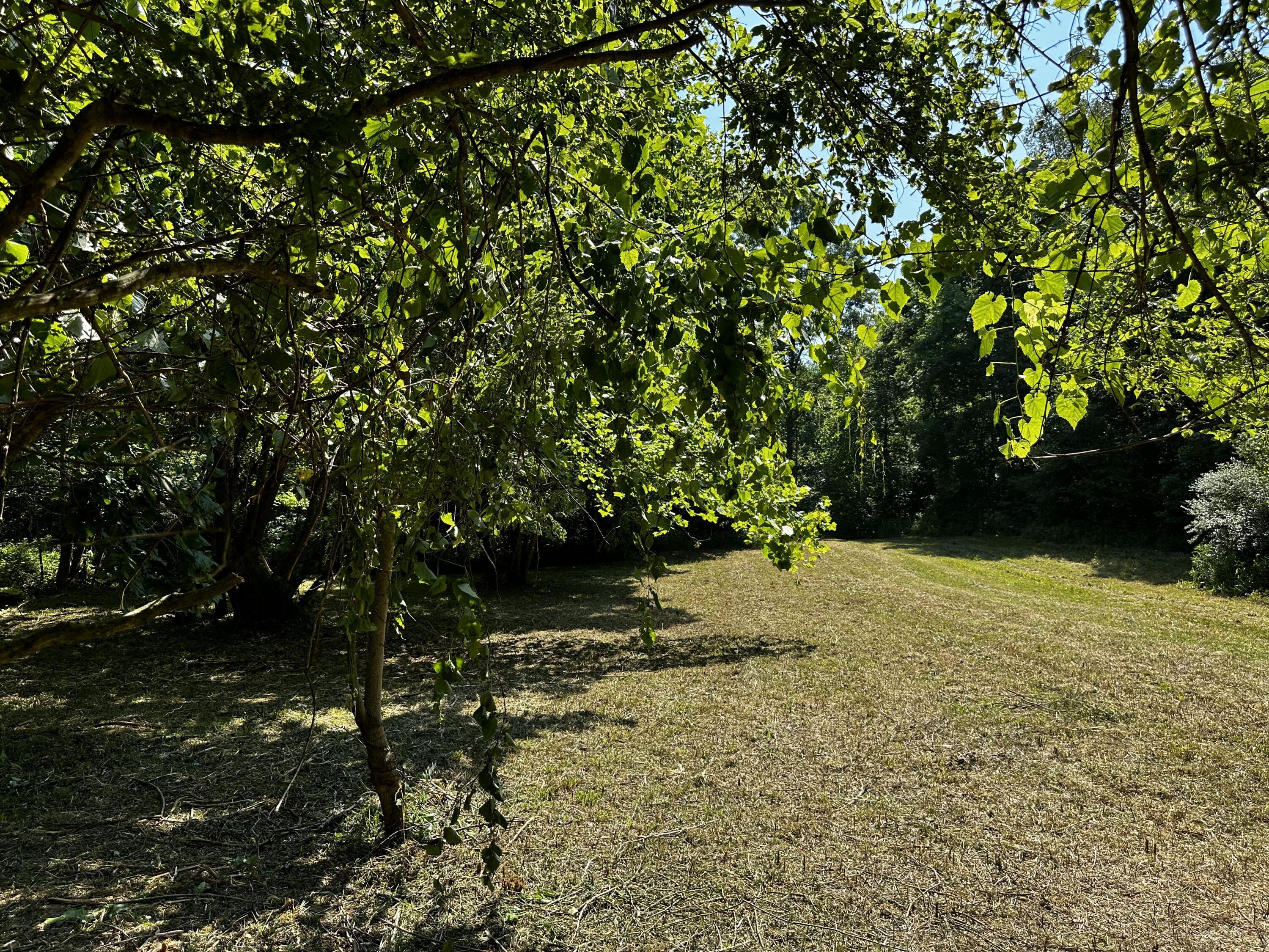 1079 Hull Road, (tract 11 Woods Wayne Forest) Property Photo 28