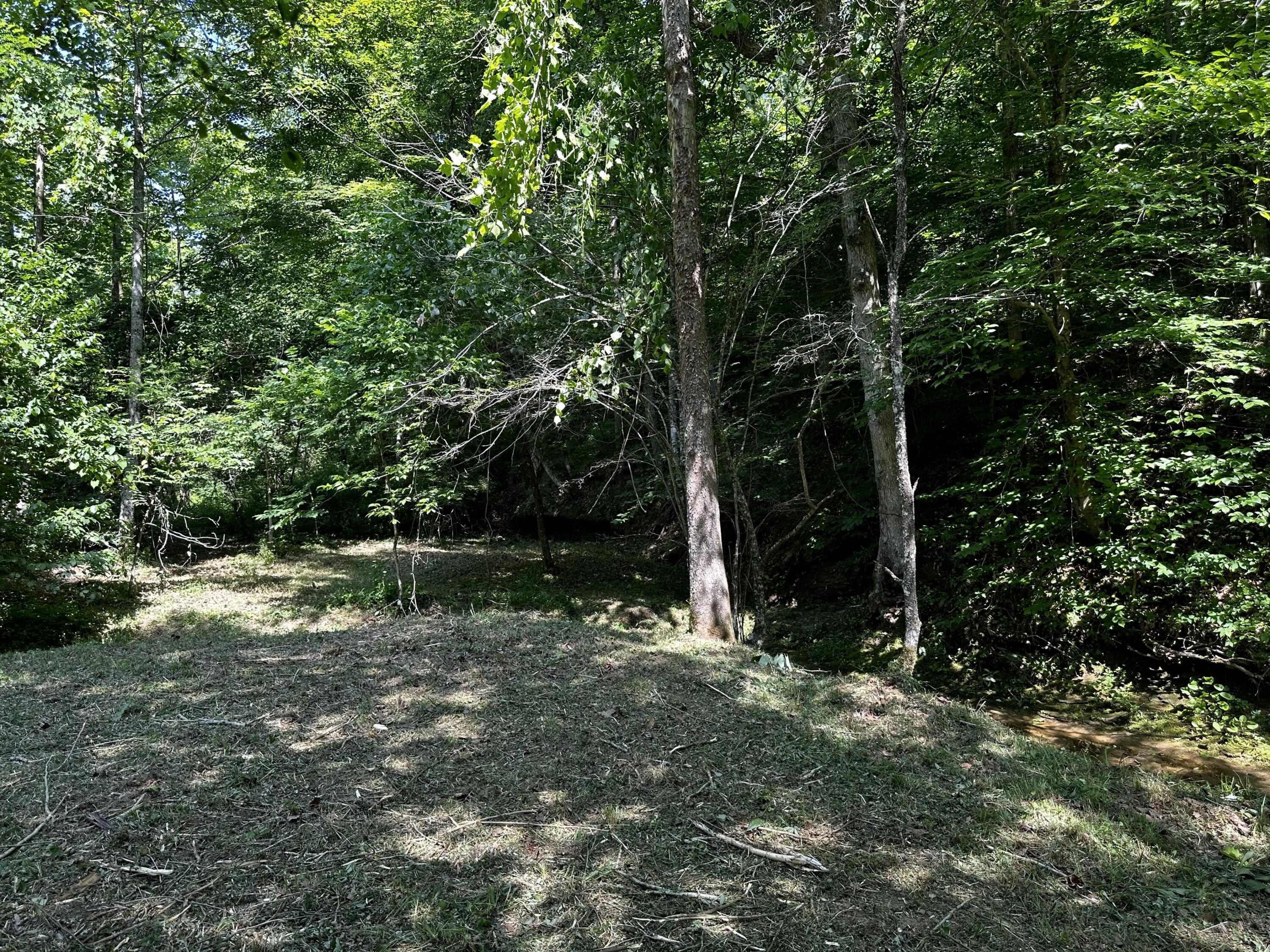1079 Hull Road, (tract 11 Woods Wayne Forest) Property Photo 30